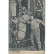 Firminy - Descente du Cheval dans la Mine
